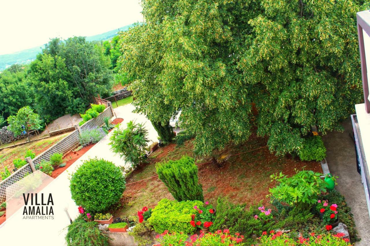 Apartment Amalia