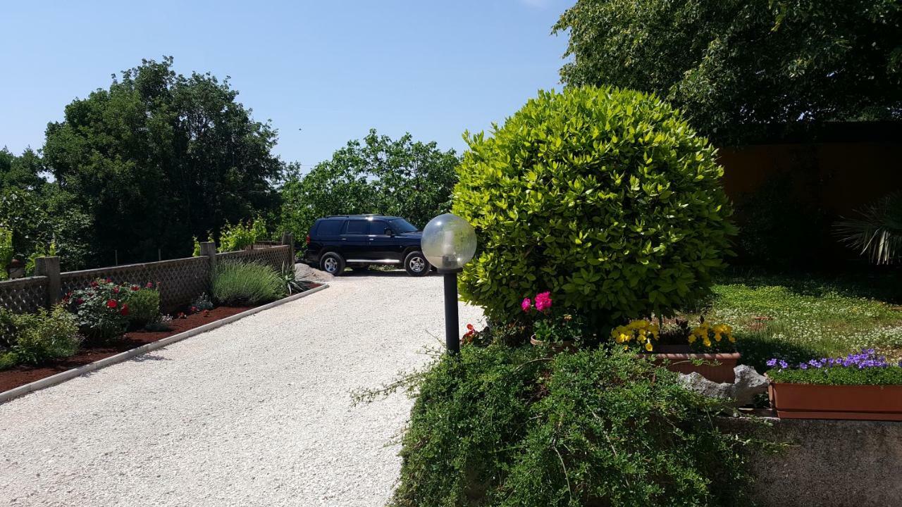 Amalia * Labin (Istria)